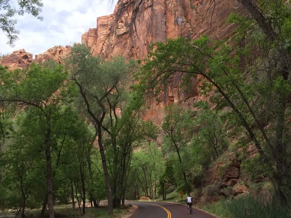 Sellier Zion Canyon